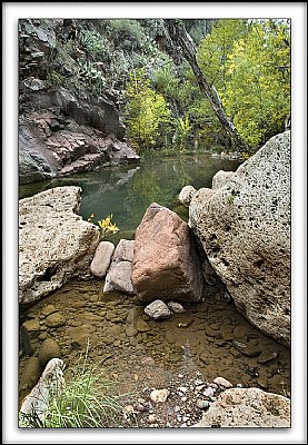 Creek in Tonto Natl Park