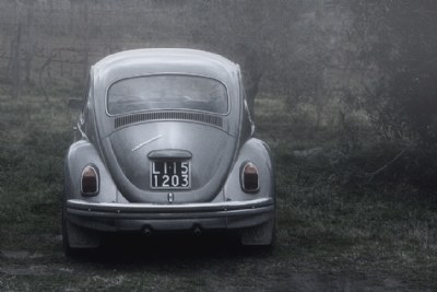 Beetle in the fog