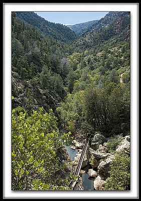 Tonto Canyon