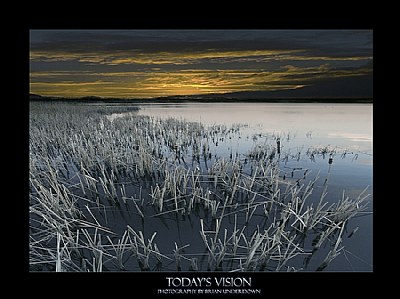 Todays Vision