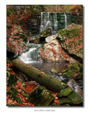Autumn cascade
