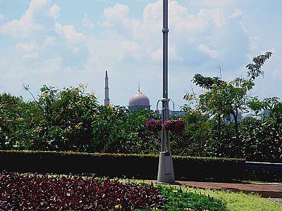 Flowers & Mosque