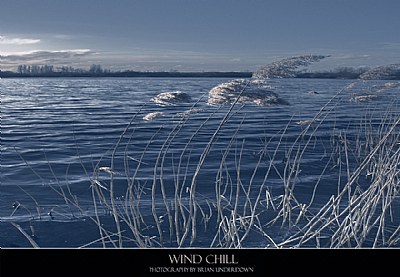 Wind Chill