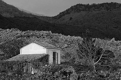 Etna's landscape