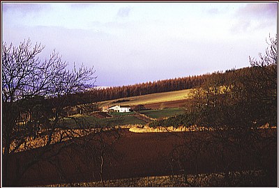 White Farm