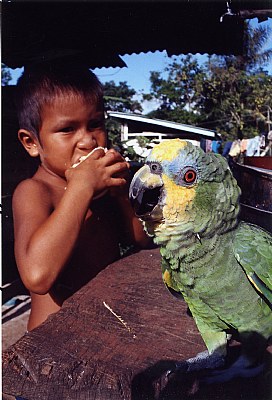 boy and his parrot