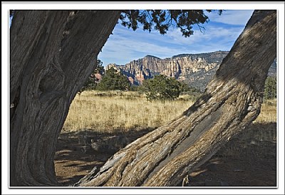 View of the Red Rocks