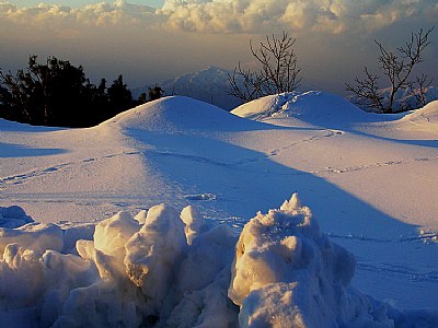 Snow and Shadow