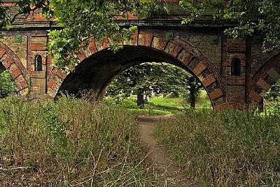 Garden through an arch