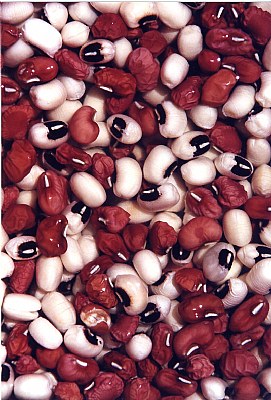 Cookup Beans