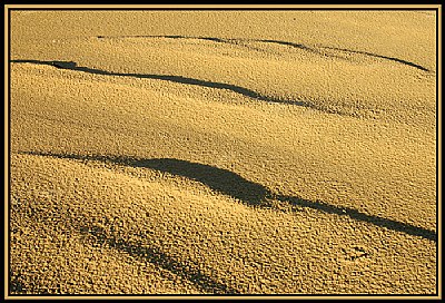 Ripples in the Sand.
