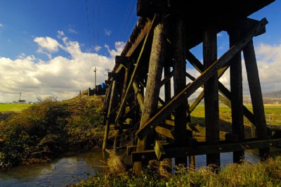 Trestle 3