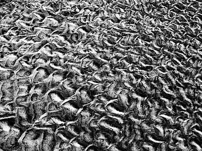 Sand Ripples, Holden Beach, 2005