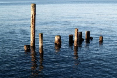Afternoon Pilings