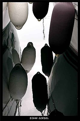fenders