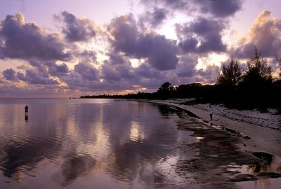 Little Cayman Island