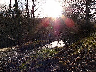 Down by the River