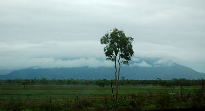 Raining in The Tropics