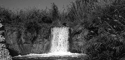 water fall