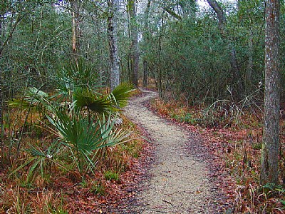 The Trail