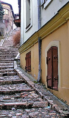 Street and Windows