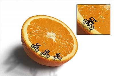 bicycle racing