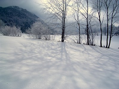 snow with shadows