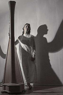 harp and shadow