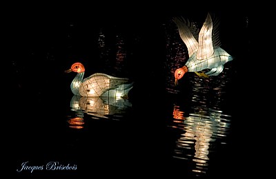 chinese lanterns 35