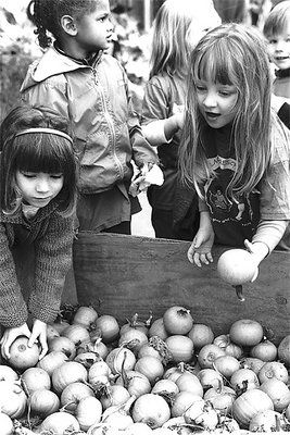 Little Pumpkins