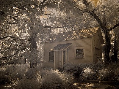 Florida scrub cottage