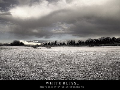 WHITE BLISS..