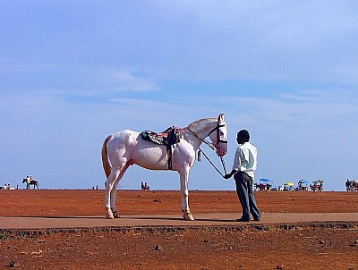 Tall, white and handsome