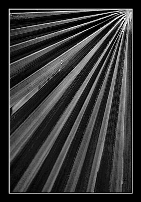 linee in B&W #6