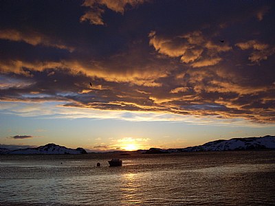 THE ARTIC SUNSET