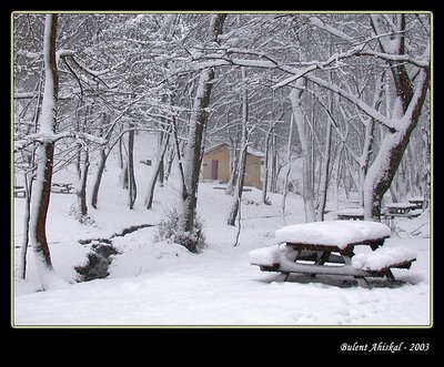 Snow - IV