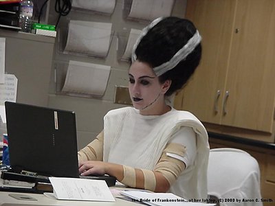 The Bride of Frankenstein...at her labtop