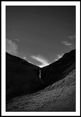 Grey Mares Tail