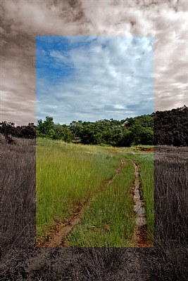 Muddy Tracks