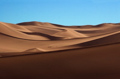 Sand Dunes of the Namib