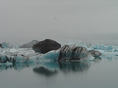 blue icebergs 