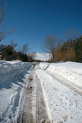 Winter Road