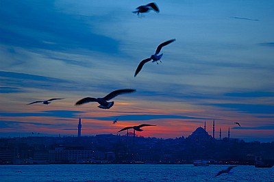 iSTANBUL AFTERNOON