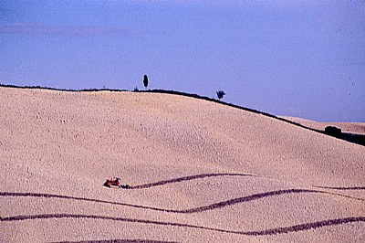 ancora trincee in val d'orcia