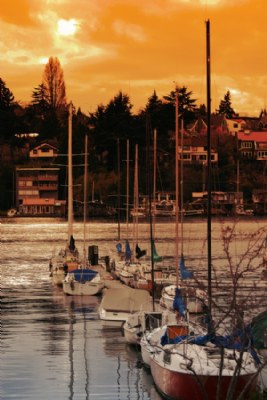 Golden Sky