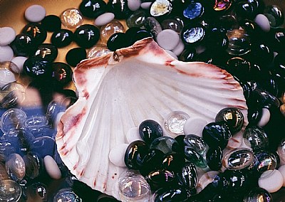 Shell and Glass Drops