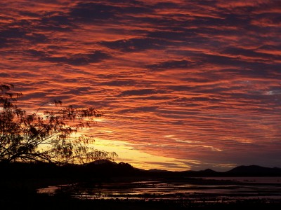 Red Sky at Night