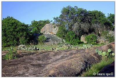 Rocks & Cacti