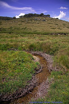 Thredbo River at the the Ford