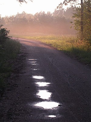 After the rain